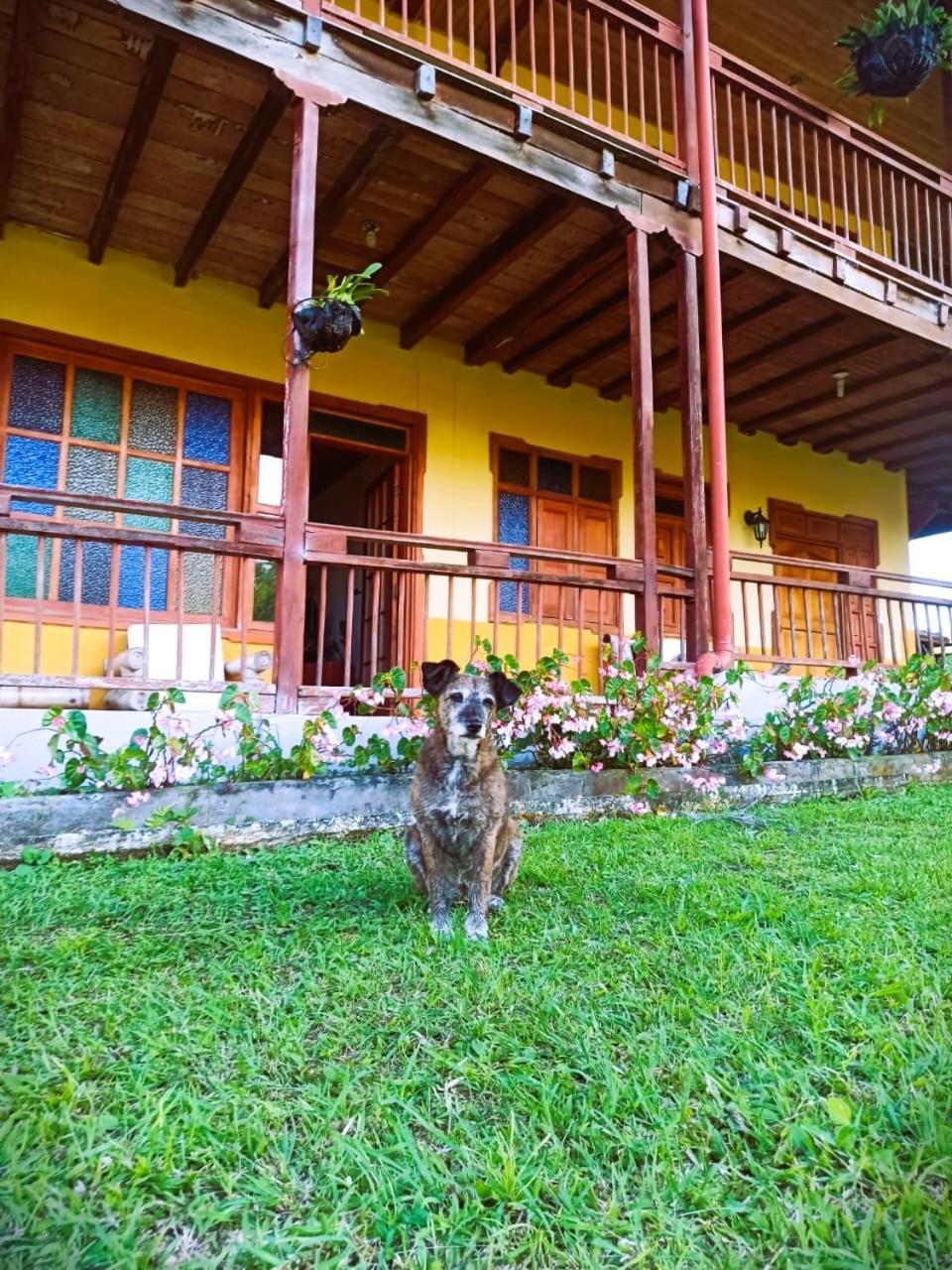Filandia - Finca Rural La Guadalupana Hotel Exterior foto
